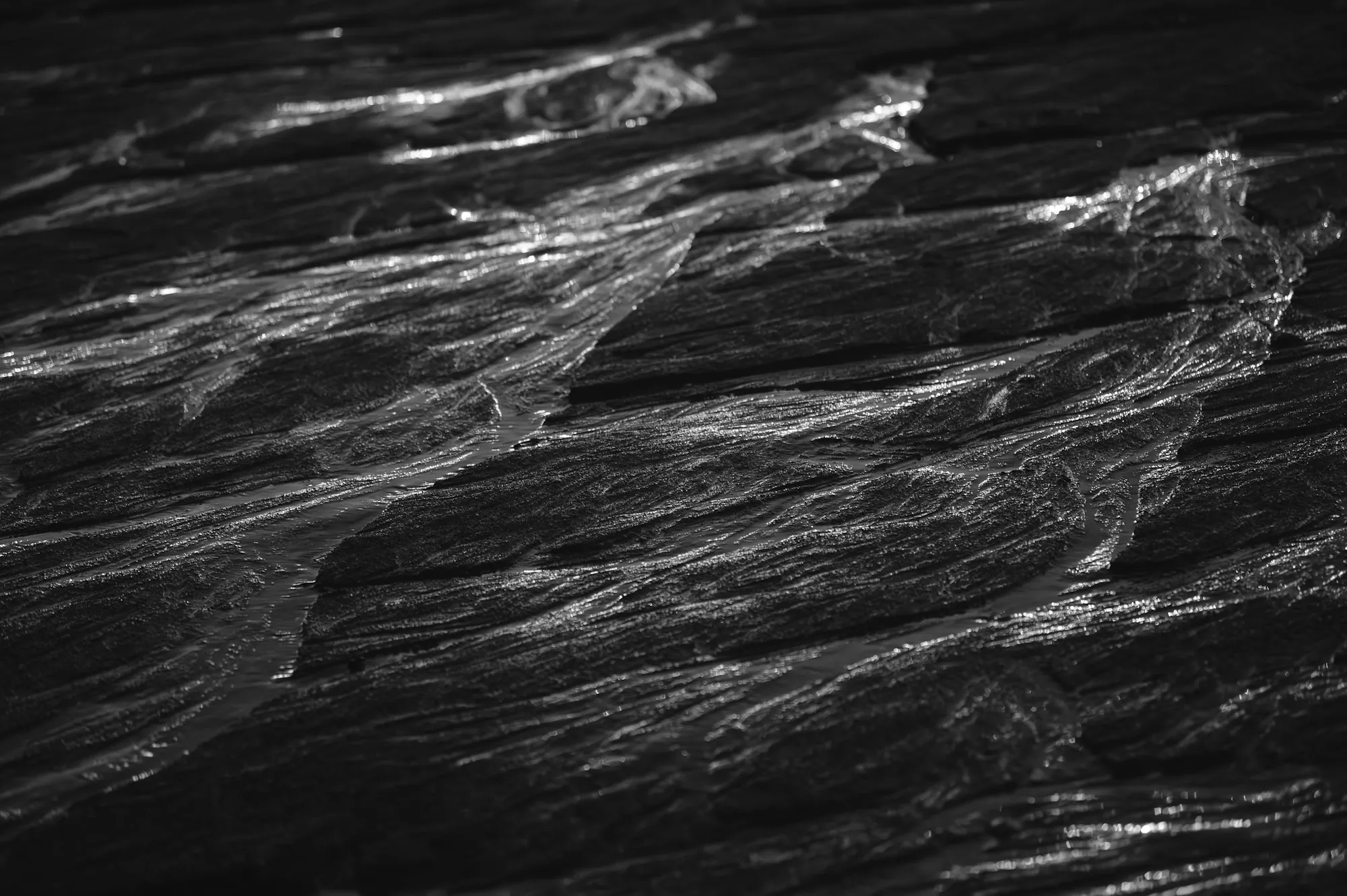 Close-up of fibrous material